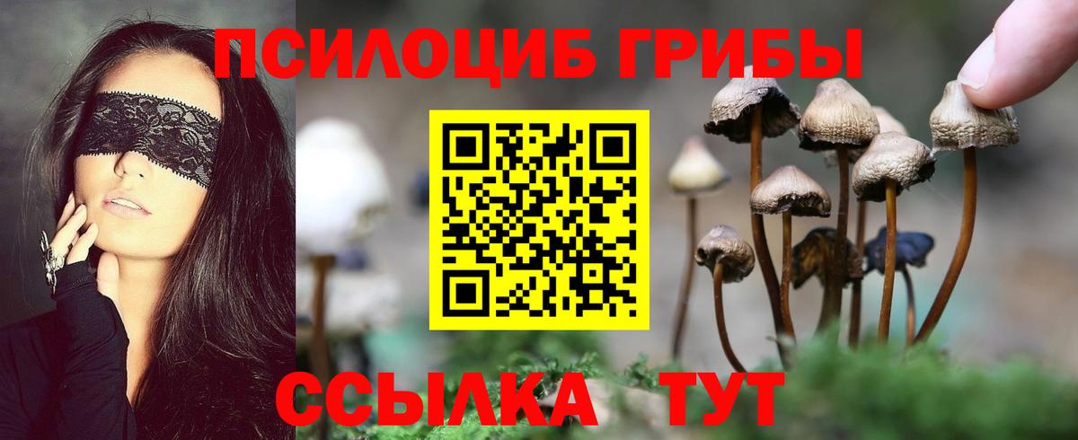 Галлюциногенные грибы Magic Shrooms  Вход с VPN  Заволжье  Галлюциногенные грибы MAGIC MUSHROOMS 