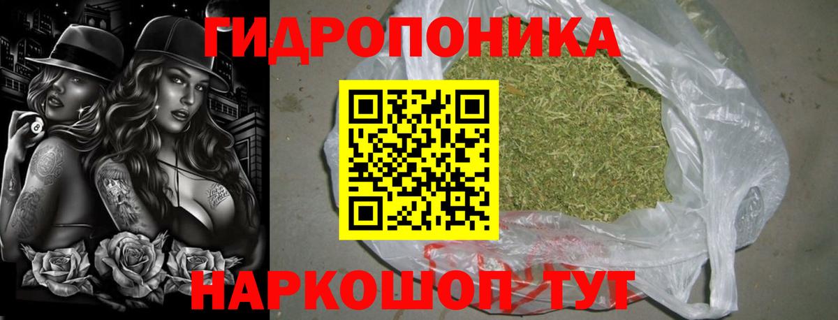 МАРИХУАНА OG Kush Заволжье